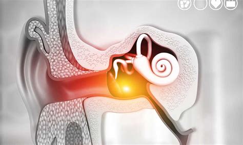 What Is Surfers Ear Prevention Symptoms And Treatment • The Grom Life