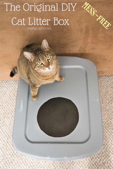 The Original Diy Mess Free Cat Litter Box Living Well Mom Diy Litter Box Free Cats Best