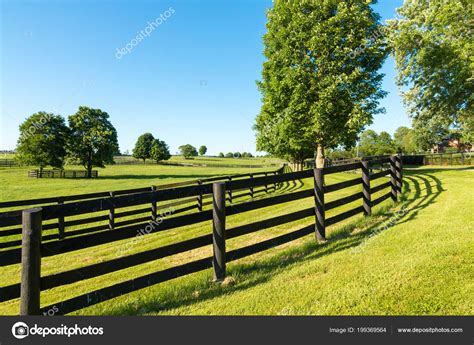 Green Pastures Horse Farms Country Summer Landscape Stock Photo By