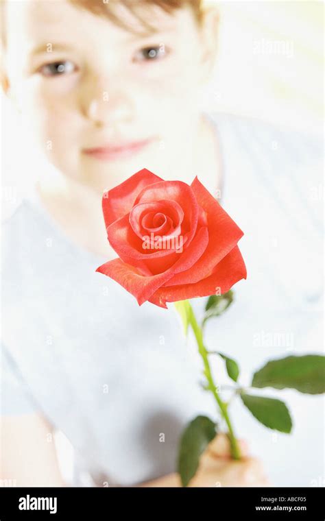 Girl Holding Red Rose Stock Photo Alamy