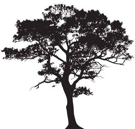 Silhouette Tree Png Clip Art Image Gallery Yopriceville High