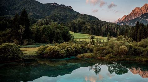 At zelenci springs, water from underground nadiža creek (originating in the planica valley). Trip to Zelenci - Natural reserve - THE Slovenia