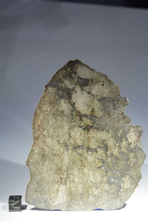 Nwa 12773 Eucrite Meteorite Full Slice Weighing 297g Msg Meteorites