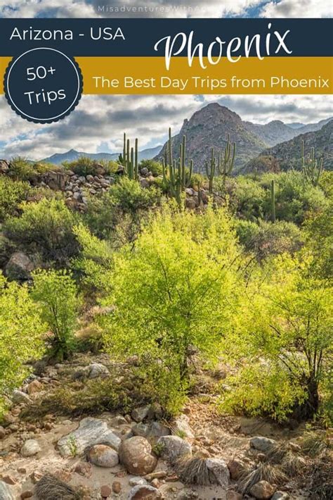 The 50 Best Day Trips From Phoenix Day Trips Arizona Travel Trip