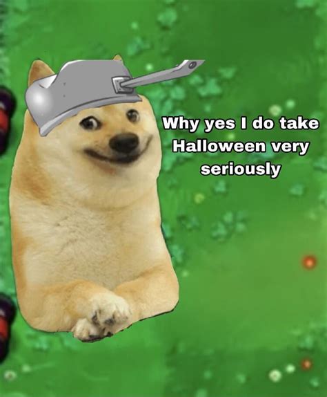 Le Halloween Decorating Has Arrived Rdogelore