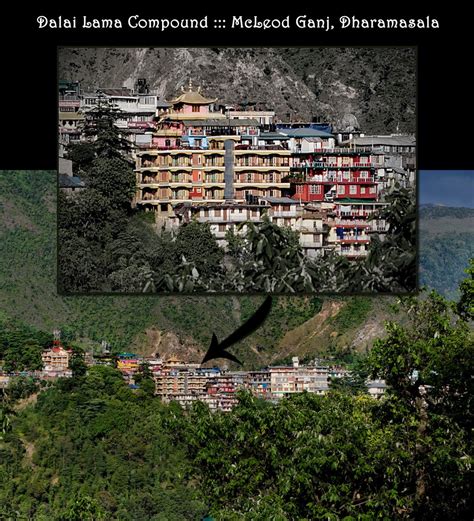 Explore The Dalai Lamas Home In India Greg Goodman Photographic