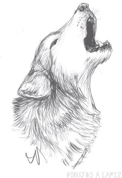ᐈ Dibujos De Lobos【top】lobos Para Dibujar A Lapiz
