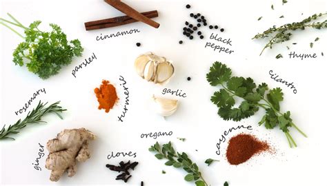 Healing Herbs And Spices Common Herbs And Spices By Jesselwellness Jesse Lane Wellness