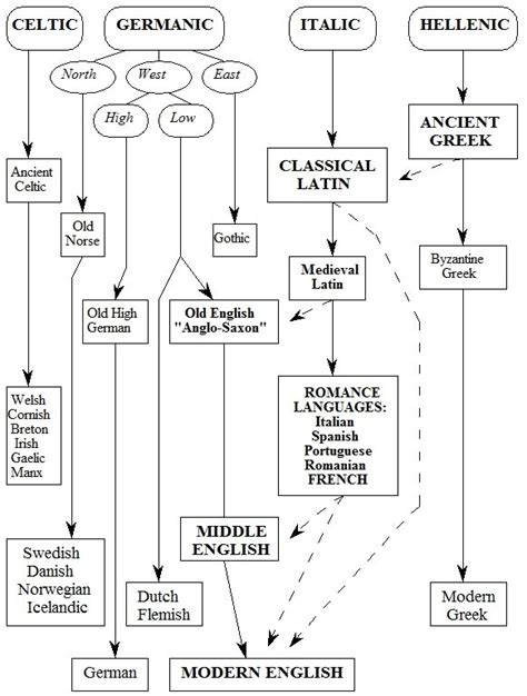 Greek And Latin Roots Part I Latin