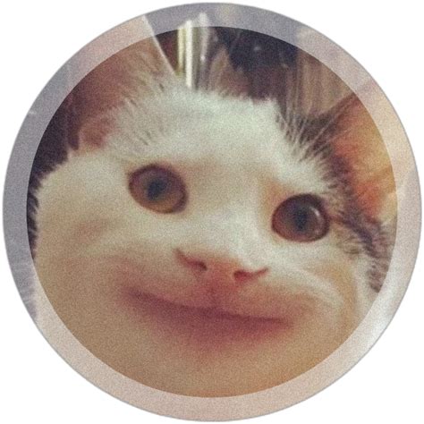 Polite Cat Meme Sticker Sticker Mania Images And Photos Finder