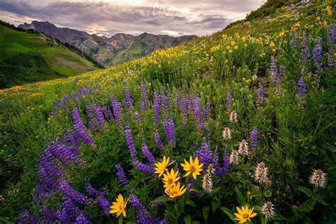 Blooming Hills Utah Landscape Photography Clint Losee Photography