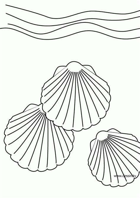 Seashell Coloring Pages Printable - Coloring Home