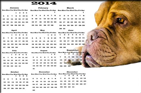 Dog Calendar 2014 Free Stock Photo Public Domain Pictures