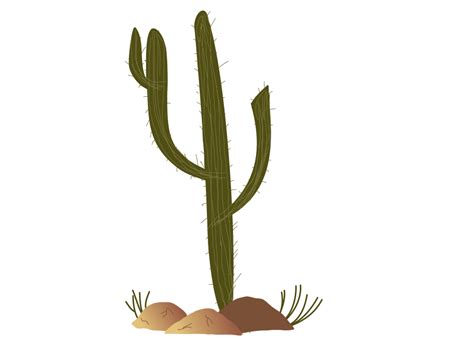 Free Cactus Vector Download Free Cactus Vector Png Images Free