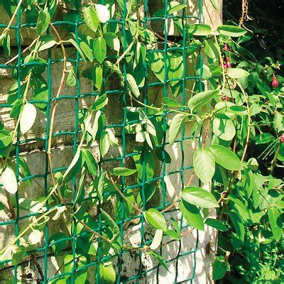 Check out the other support options below. Netting & Mesh - Climbing Plant Support Mesh Clematis Bean ...