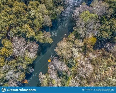 Aerial View Of Drone Natural Landscape River With And Colored Trees On