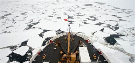Breaking The Ice Ice Stories Dispatches From Polar Scientists