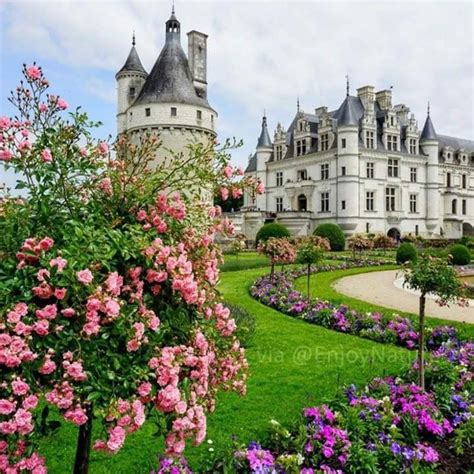 Roses Garden At Château De Chenonceau In Loire Valley France 🇫🇷