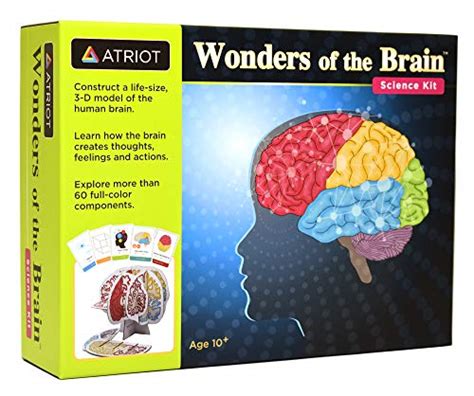 Top 10 Handy Brain Model Science Kits And Toys Rennamo