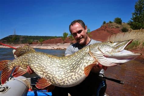 Big Fishes Of The World Northern Pike Page 4