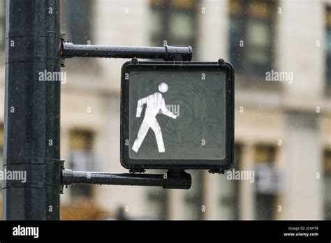 Pedestrian Crossing Signal Light New York United States Of America