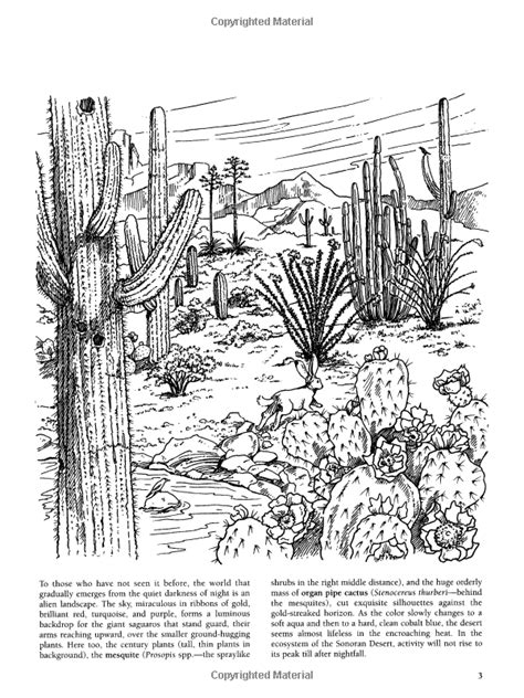 Download 107+ Sonoran Desert Sidewinder Coloring Pages PNG PDF File
