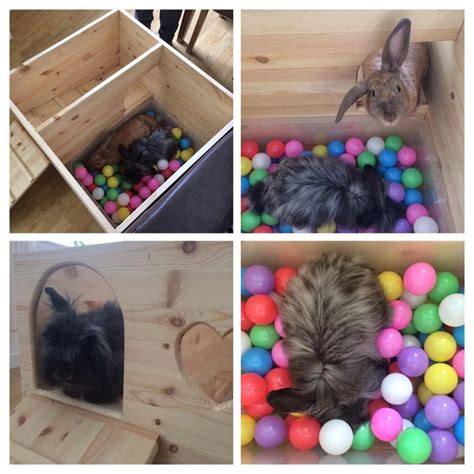 Digging Box Rabbit Enrichment Hides Manor Pet Housing Pet Bunny