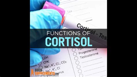 If a person has a normal cortisol level in the morning, they can keep it on a track by eating foods with a low glycemic index in every five hours. High cortisol levels - what are the symptoms of high ...