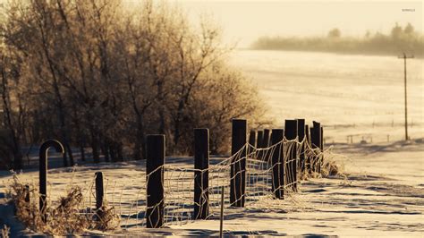 Snowy Field Wallpaper Photography Wallpapers 15471
