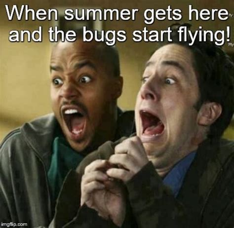 Get Ready For The Summer With This Summer Memes 42 Pics