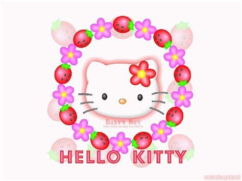 Hello Kitty Hello Kitty Wallpaper 182195 Fanpop