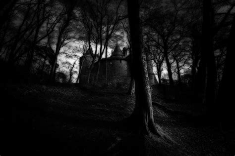 At The Edge Of The Deep Dark Forest There Is A Castle Flickr