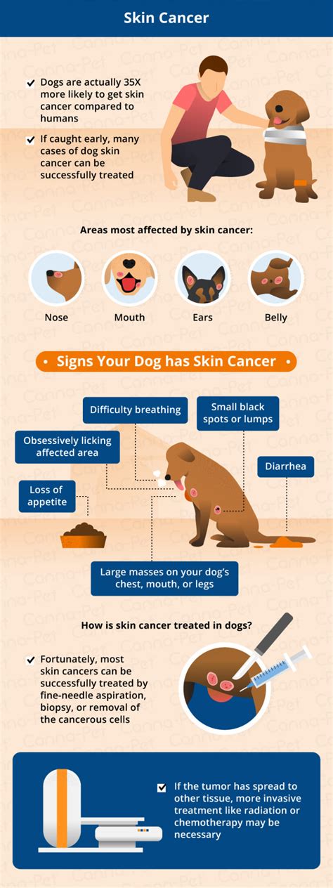 Most Common Canine Cancers Canna Pet