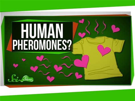 Do Humans Have Pheromones Cartoon Network Adventure Time Pheromones