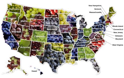 Usa Wine Regions Hayward Brothers Wines