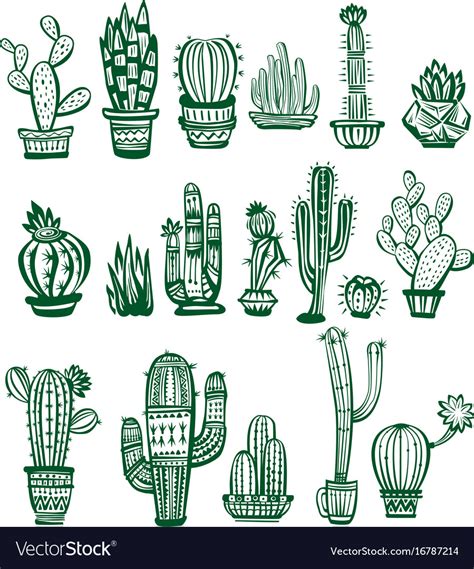 Set Cactuses Royalty Free Vector Image Vectorstock