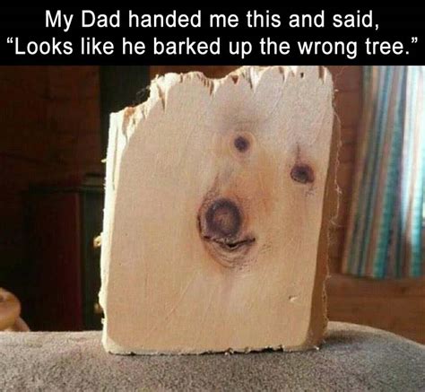 Funny Pictures Of The Day 36 Pics