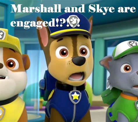 Funny Paw Patrol Memes And Pics 1 Highest Ranking Poor Chase