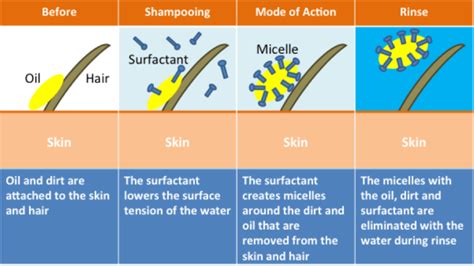How Well Do You Know Your Shampoos