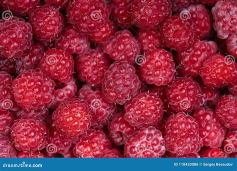Background Of A Beautiful Fresh Raspberry Healthy Food Vegetarianism