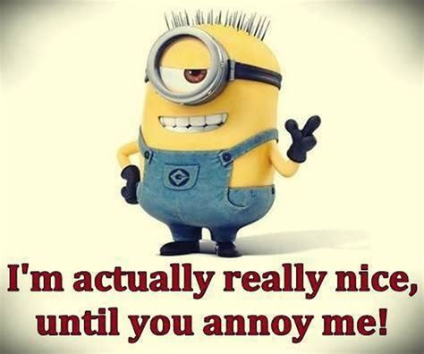 A Minion With The Words Im Actually Really Nice Until You Annoy Me