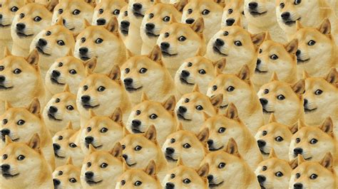 Free Download Doge Pattern Wallpaper Meme Wallpapers 27481 1920x1080 For Your Desktop Mobile