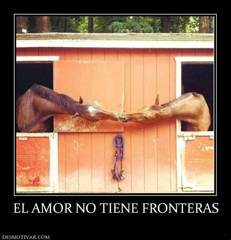 El Amor No Tiene Fronteras Horses Beautiful Horses