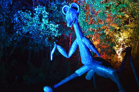 Night Lights At Griffis Sculpture Park 2022 Promo Video Sitlerhq