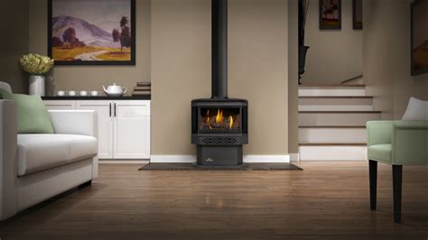 Buy Napoleon Haliburton Direct Vent Gas Stove Shop Online Or In Store