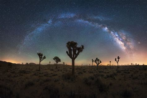 Joshua Tree Milky Way Panorama Michael Shainblum Photography