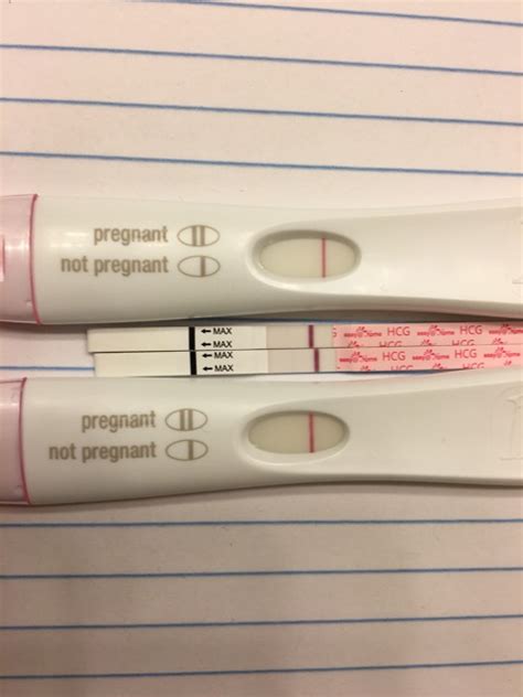 Cheapie Vs Frer 10 Dpo Same Sample With My First Pregnancy This Tiny