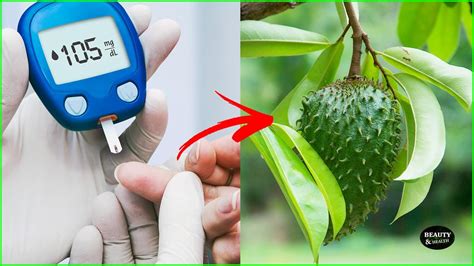 How To Cure Type 2 Diabetes Naturally Natural Diabetes Treatment