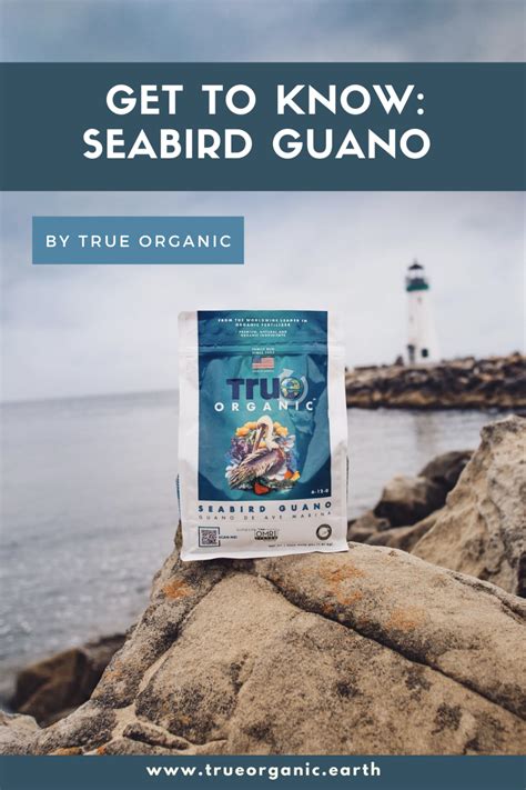 Get To Know True Organic Seabird Guano True Organic