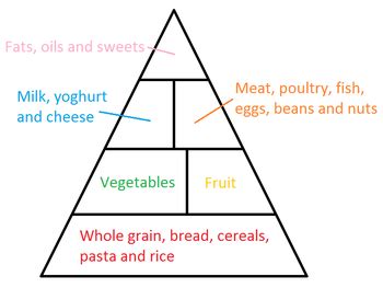 Printable Blank Food Pyramid Template